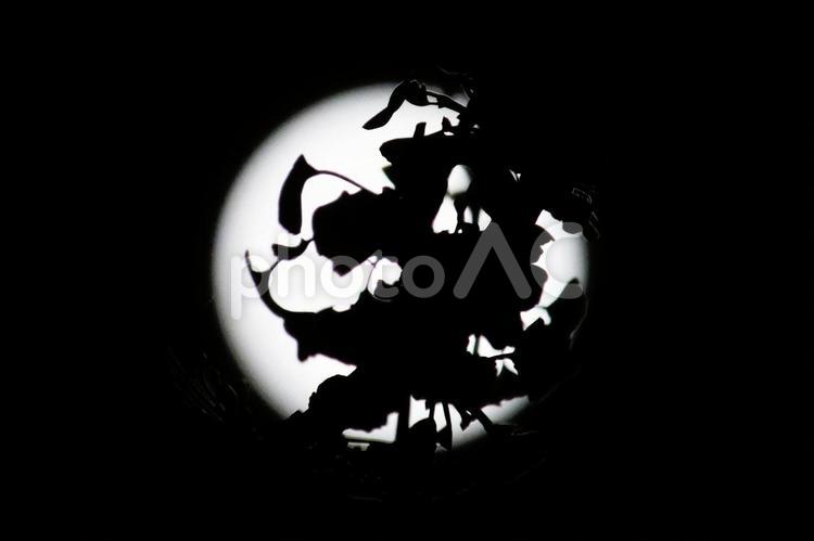 満月 01 木が影絵のように映り幻想的に 癒し,スピリチュアル,満月の写真素材
