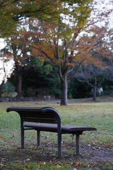 秋の公園の写真
