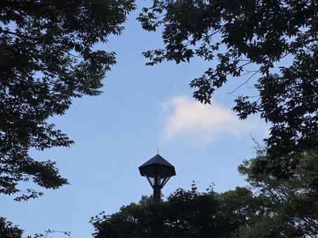 街灯と木々 街灯と木々 風景,街灯,木々の写真素材