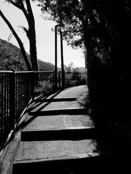 散歩道 散歩道の写真