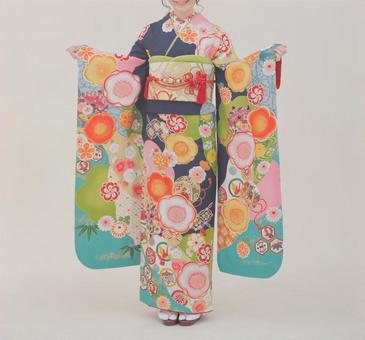 振り袖 女性 振り袖 女性 成人式,女性,着物の写真素材