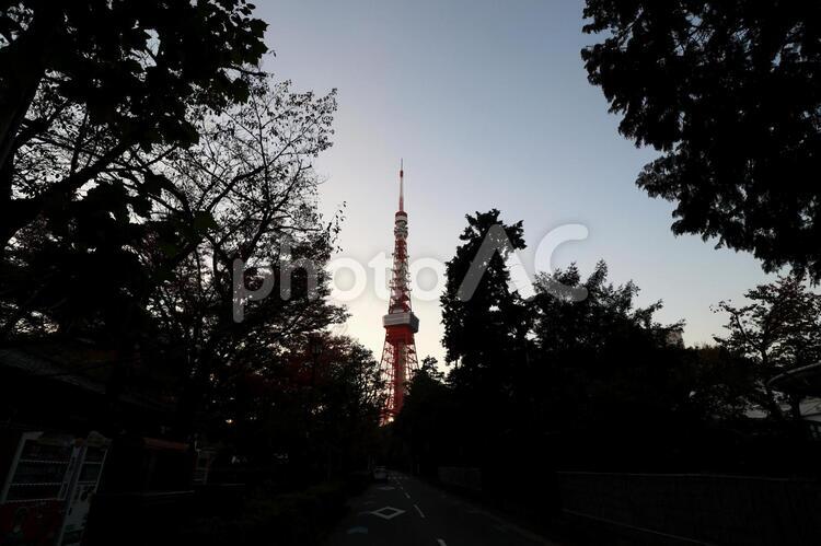 東京タワー（夕方１６時ごろ）１ 東京タワー,東京,港区の写真素材