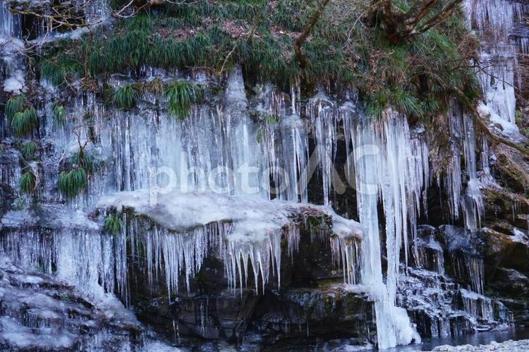 つらら、みそ槌氷柱埼玉県秩父 自然,つらら,冬の写真素材