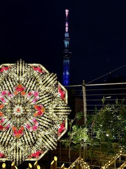 スカイツリーと竹あかり 竹あかり,ネオン,キラキラの写真素材