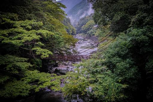 四国　徳島　祖谷のかずら橋 祖谷のかずら橋,四国,四国地方の写真素材