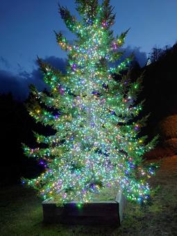 サンタランド　イルミネーション イルミネーション,サンタランド,広尾町の写真素材