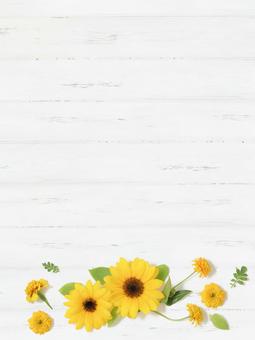 White painted wood background for sunflower decoration ①, wallpaper, background, sunflower, JPG