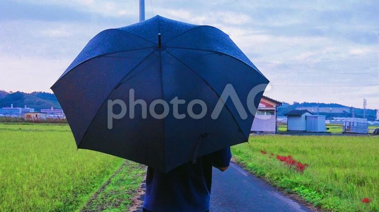雨の日の散歩 夕焼け,夕陽,撮影の写真素材