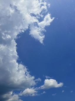 お天気雨 02 お天気雨 02の写真