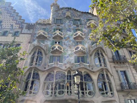 カサ・バトリョ(バルセロナ) カサ・バトリョ(バルセロナ) バルセロナ,スペイン,カタルーニャの写真素材