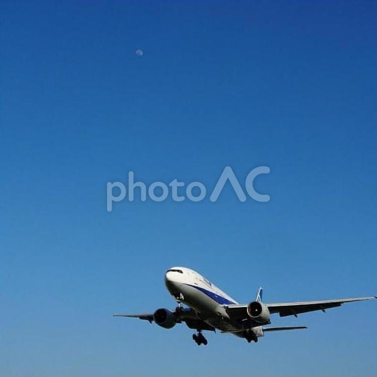 飛行機　昼の月 旅客機,ジェット機,飛行機の写真素材