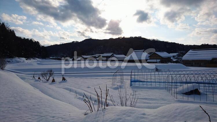 氷の世界の中で 雪,冬,冷たいですの写真素材