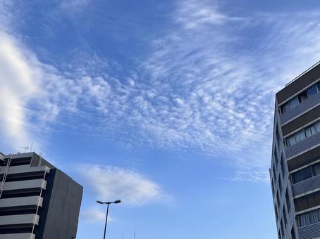 マンションと電灯 マンションと電灯 マンション,見上げる,ビルの写真素材