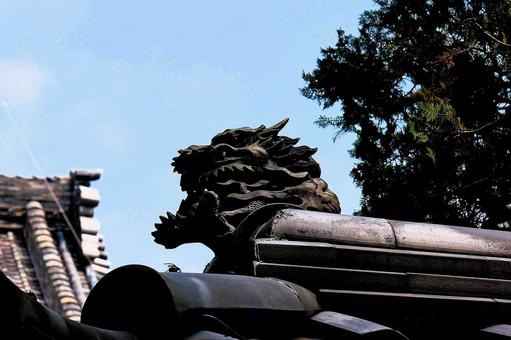 鬼瓦 鬼瓦 風景,鬼瓦,屋根の写真素材