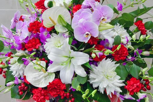 カラフルなフラワーアレンジメント オリエンタルユリ,胡蝶蘭,ダリアの写真素材