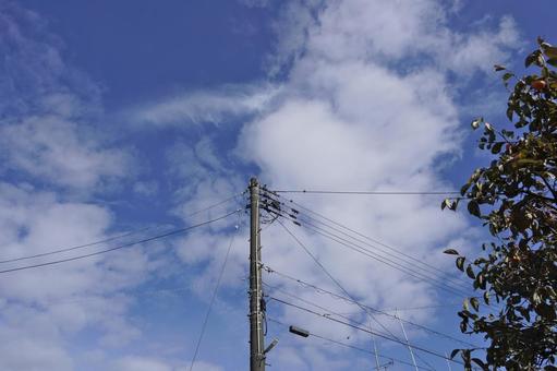 電信柱のとまるスズメの群れ09 すずめ,雀,電信柱の写真素材