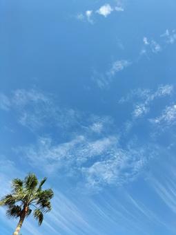 空 空の写真