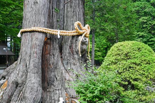 山梨・北口本宮富士浅間神社  北口本宮富士浅間神社,浅間神社,富士山の写真素材
