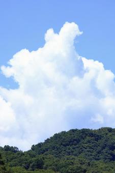 夏雲 夏雲の写真