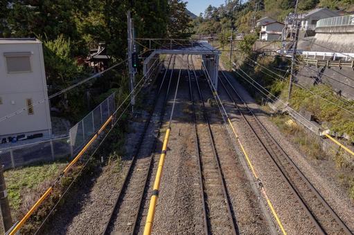 初鹿野諏訪神社の朴の木の写真