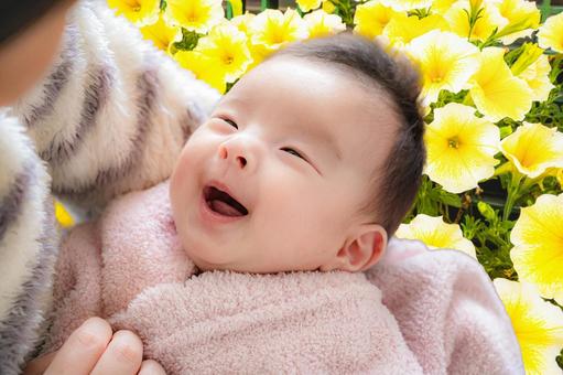 ママと赤ちゃんと花畑 ママと赤ちゃんと花畑 赤ちゃん,新生児,乳児の写真素材