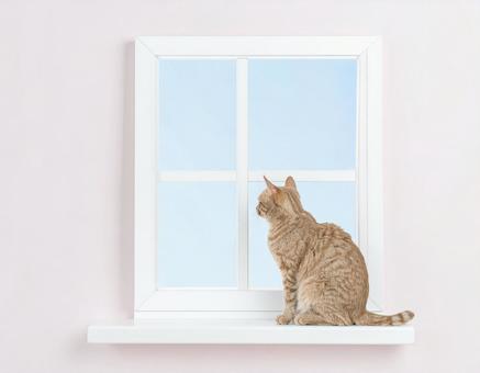 AI 茶猫 窓 外を見る 背景素材 AI 茶猫 窓 外を見る 背景素材の写真