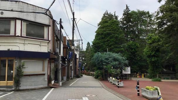 井の頭公園沿いの風景 井の頭公園沿いの風景の写真