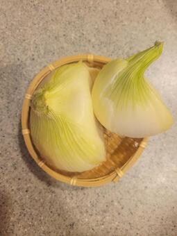 玉葱 202505 (6) 野菜,玉葱,玉ねぎの写真素材