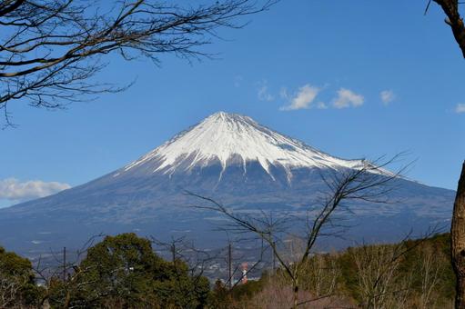 岩本山から見る富士山 岩本山から見る富士山 富士山,冠雪,青空の写真素材