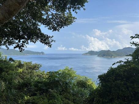 奄美大島 奄美大島の写真