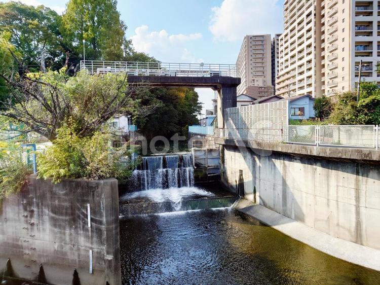 川と橋と街並み 川,橋,街並みの写真素材