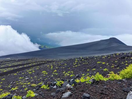 富士山五合目付近より下を眺める 富士山五合目付近より下を眺める 富士山,五合目,森林限界の写真素材