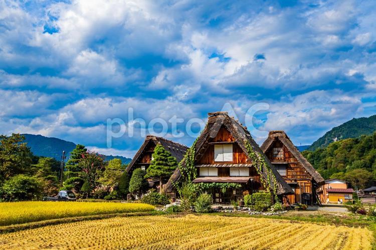 岐阜県　白川郷の風景　 白川郷,岐阜県,風景の写真素材