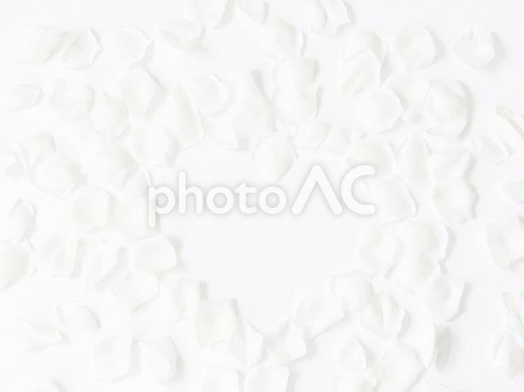 真っ白ハートフレーム ハート,花,フレームの写真素材