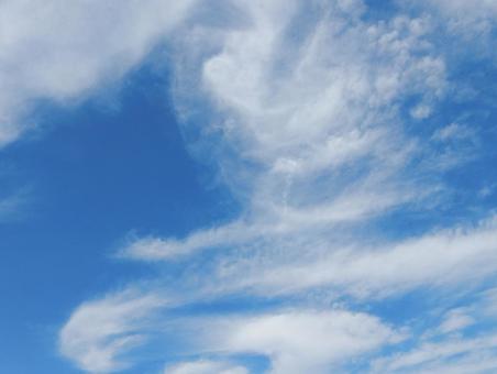 【風景写真】夏空 【風景写真】夏空の写真