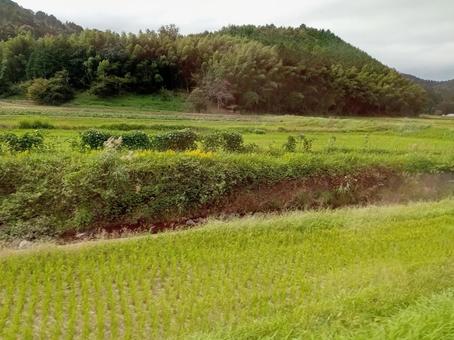 田舎のイメージの写真