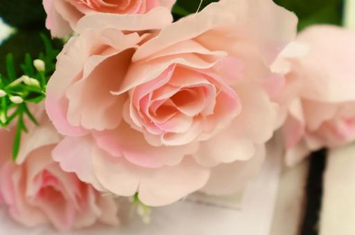 ピンクのバラ バラ,花,植物の写真素材
