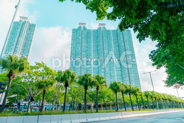 【香港】香港の街並み 香港,街並み,海外の写真素材