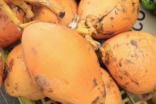 キングココナッツ キングココナッツの写真