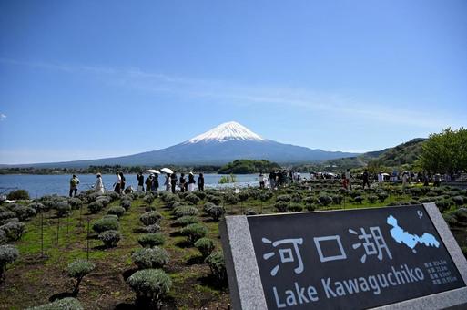富士山と河口湖 富士山と河口湖 富士山,湖,河口湖の写真素材
