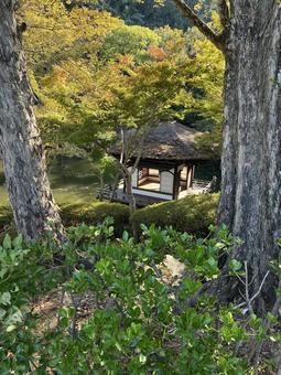 鳶魚閣, 西の丸庭園 鳶魚閣,西の丸庭園,紅葉渓庭園の写真素材