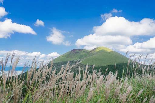山を背景にしたススキ すすき,花穂,穂先の写真素材