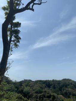 A view of trees and mountains stretching into the spring sky, wood, dry, young leaves, JPG