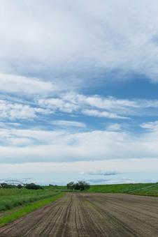 青空と白い雲 青空と白い雲の写真