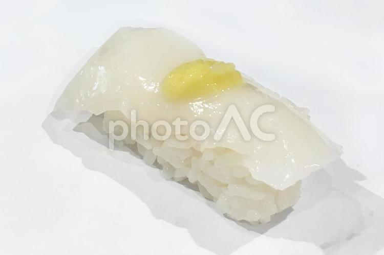 イカの握り寿司 鮨,寿司,お寿司の写真素材