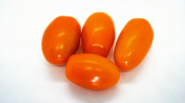 사진, 화려한 토마토, 방울 토마토, 야채, 