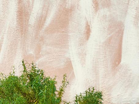 ローズマリー、コピースペース ローズマリー,ハーブ,グリーンの写真素材