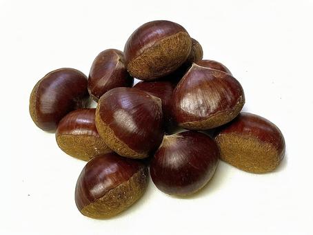 大粒丹波栗 栗,くり,クリの写真素材