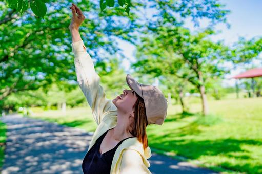 散歩中に葉っぱに触ろうとする女性 散歩中に葉っぱに触ろうとする女性 葉っぱ,散歩,歩くの写真素材