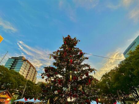 大きなクリスマスツリー 光,輝き,きれいの写真素材